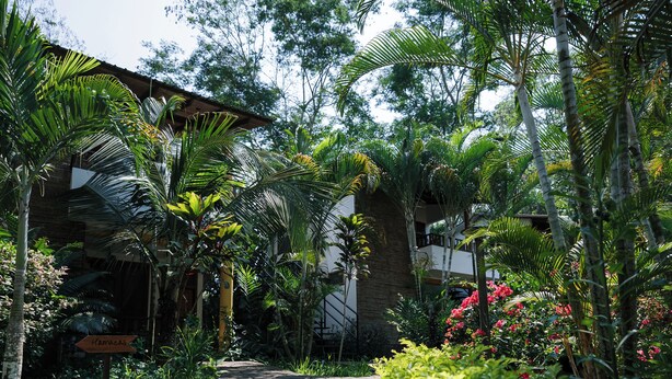 A stone pathway leading through a lush garden with various tropical plants and a building in the background. - Villa Lu Amazon Lodge (Tarapoto)