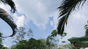 A pool area with a person standing by the pool, surrounded by lush greenery and a clear sky. - Villa Lu Amazon Lodge (Tarapoto)