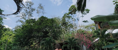 Zona de piscina con una persona de pie junto a ella, rodeada de exuberante vegetación y cielo despejado.