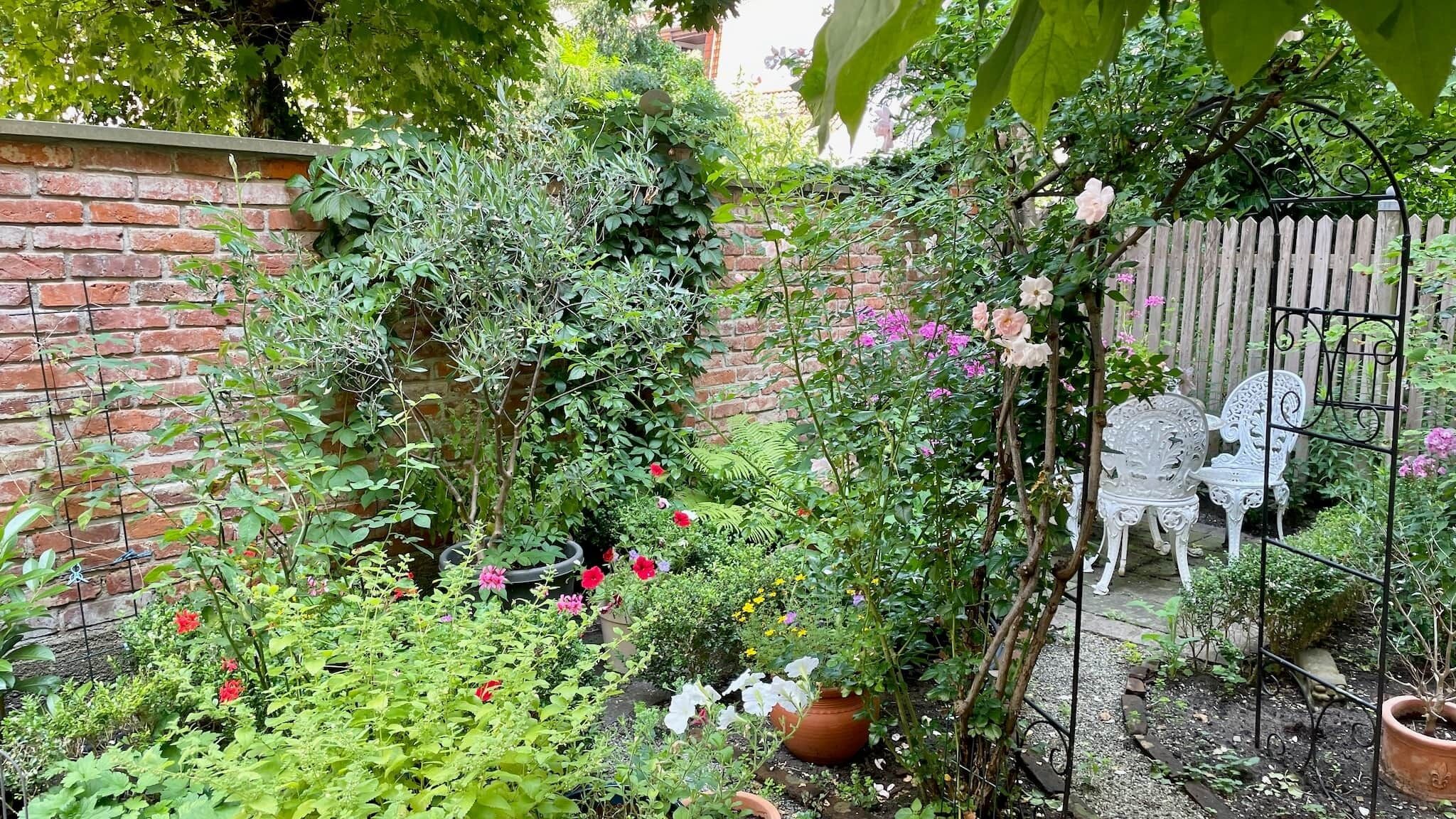 Un jardín con muro de ladrillo, diversas plantas, un banco de metal blanco y una valla de madera.