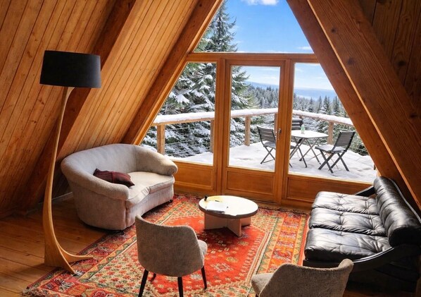 Smart TV, fireplace, DVD player, books