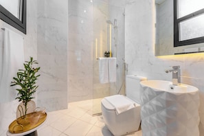 Shower, hair dryer, towels, soap