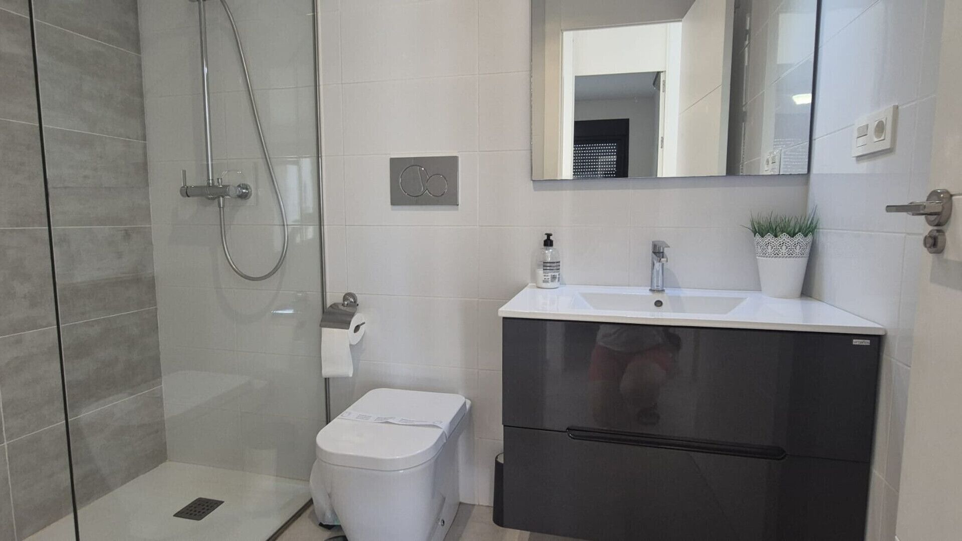 A modern bathroom with a glass-enclosed shower, a white toilet, a sink with a mirror above, and a small potted plant.
