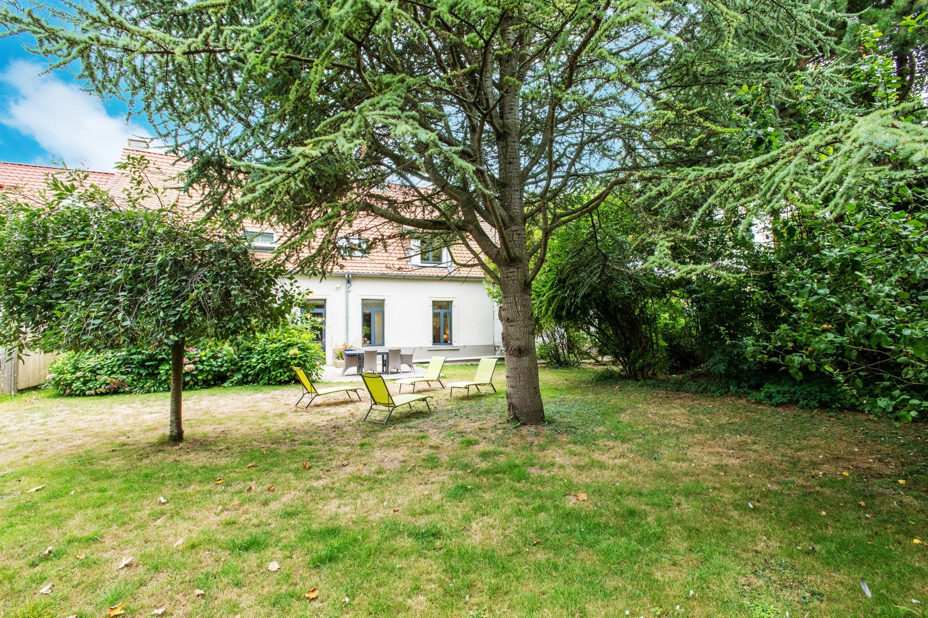 A grassy backyard with a tree, a white building, and outdoor furniture.