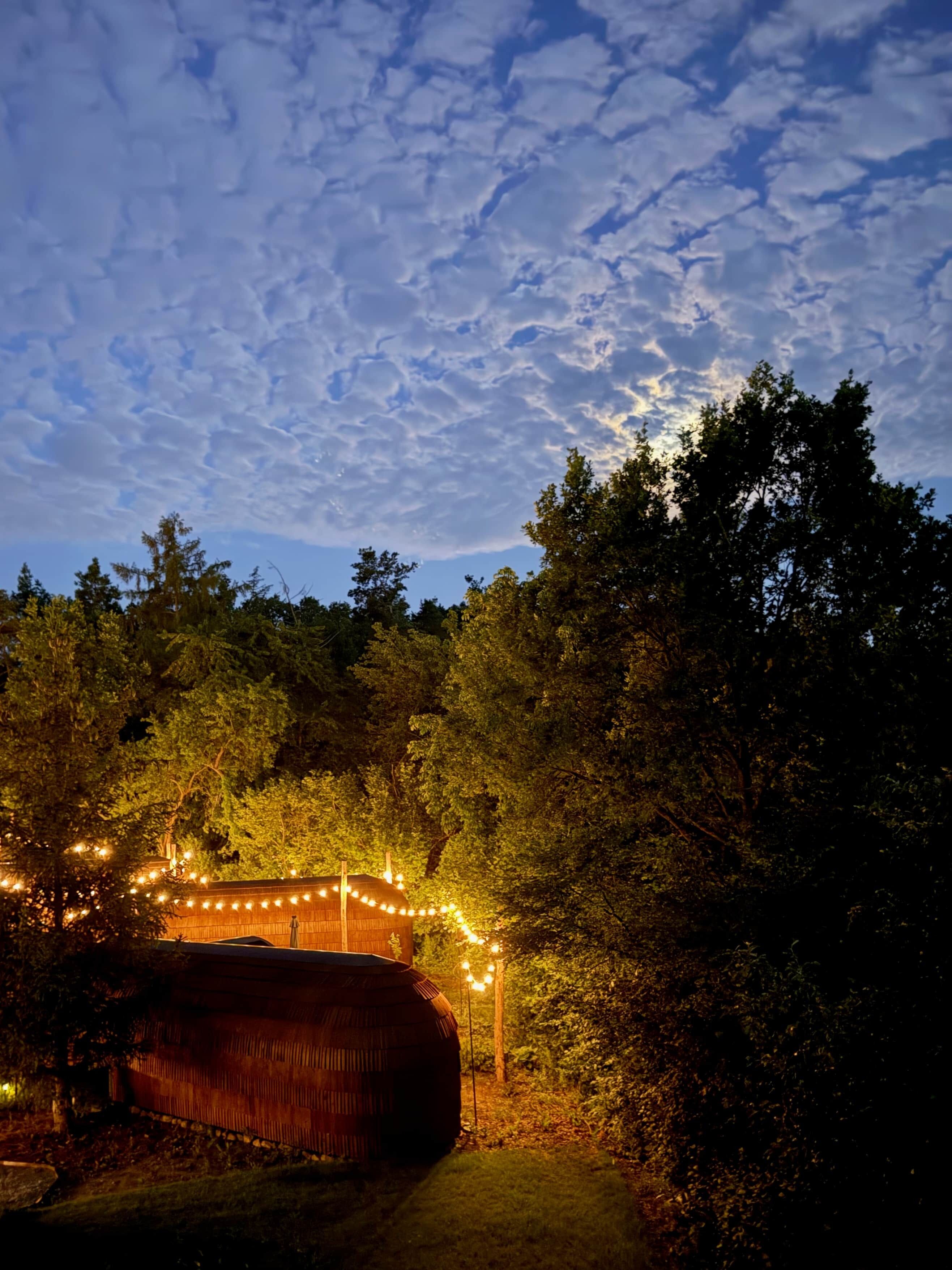 Eine rustikale Holzhütte mit Lichterketten, umgeben von dichtem Grünland unter einem Dämmerhimmel.