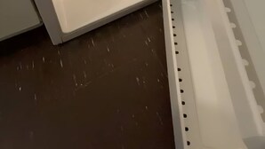 Frigorifero vuoto con diversi ripiani e vano congelatore.