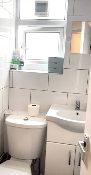 Hair dryer, towels, soap, toilet paper