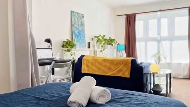 Una camera d'albergo con un letto, una scrivania, un computer, una lampada e due piante in vaso.