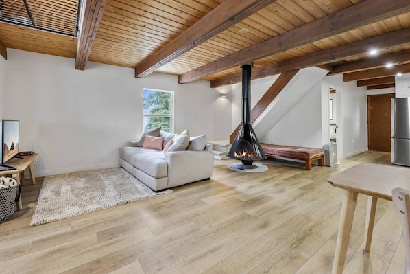 TV, fireplace