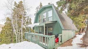 A small, green wooden cabin with a porch, surrounded by snow and trees.
