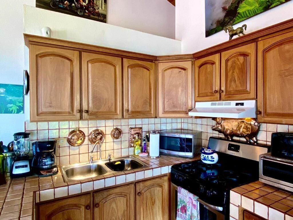 Villa, 4 Bedrooms, Private Pool, Mountain View | Private kitchen | Fridge, microwave, oven, stovetop