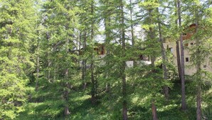 Une zone boisée avec un bâtiment partiellement dissimulé par les arbres.