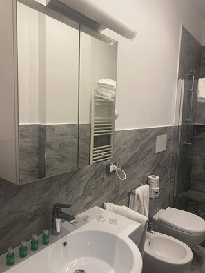 Shower, hair dryer, bidet, towels