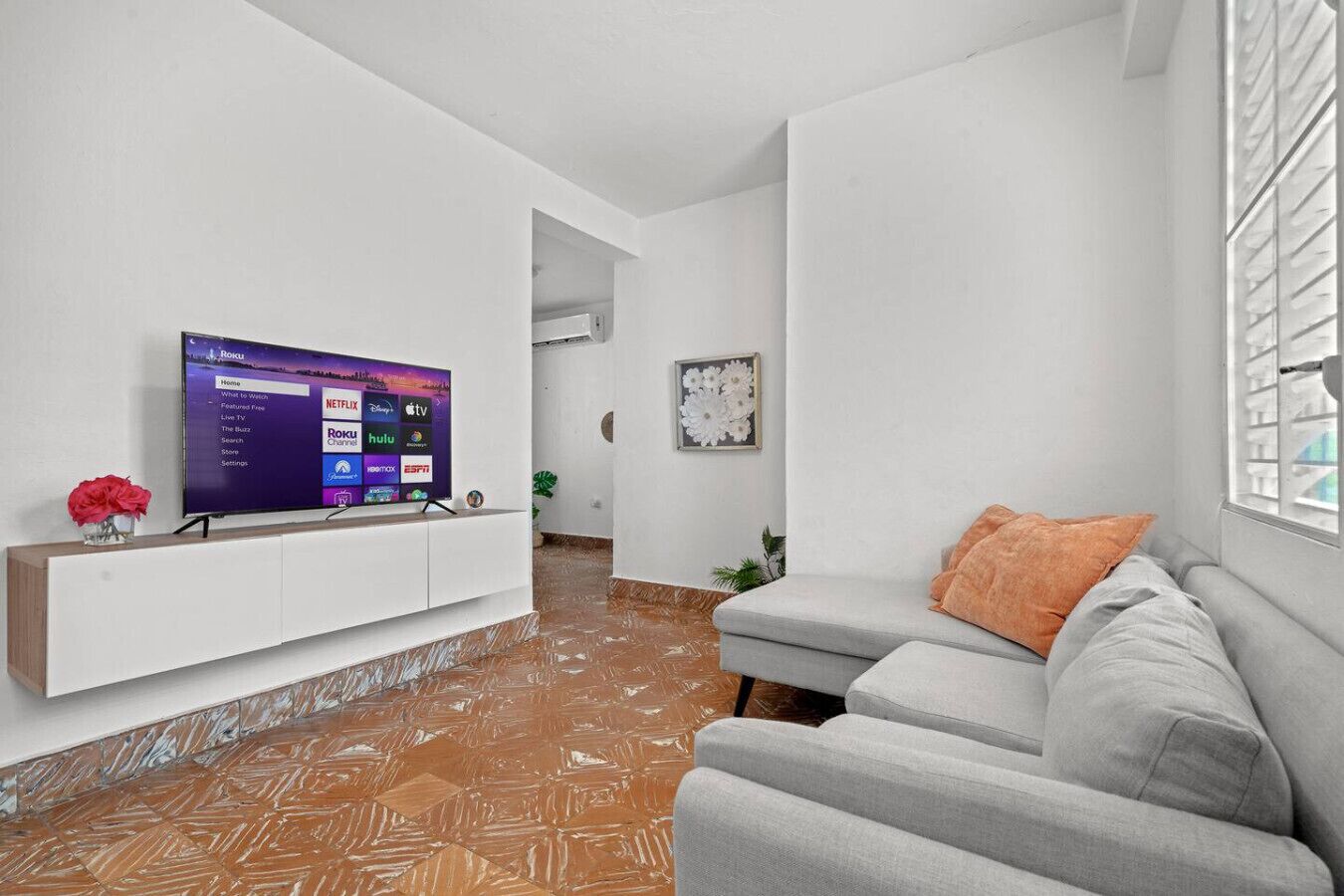TV