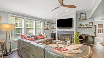 TV, fireplace, books, video library