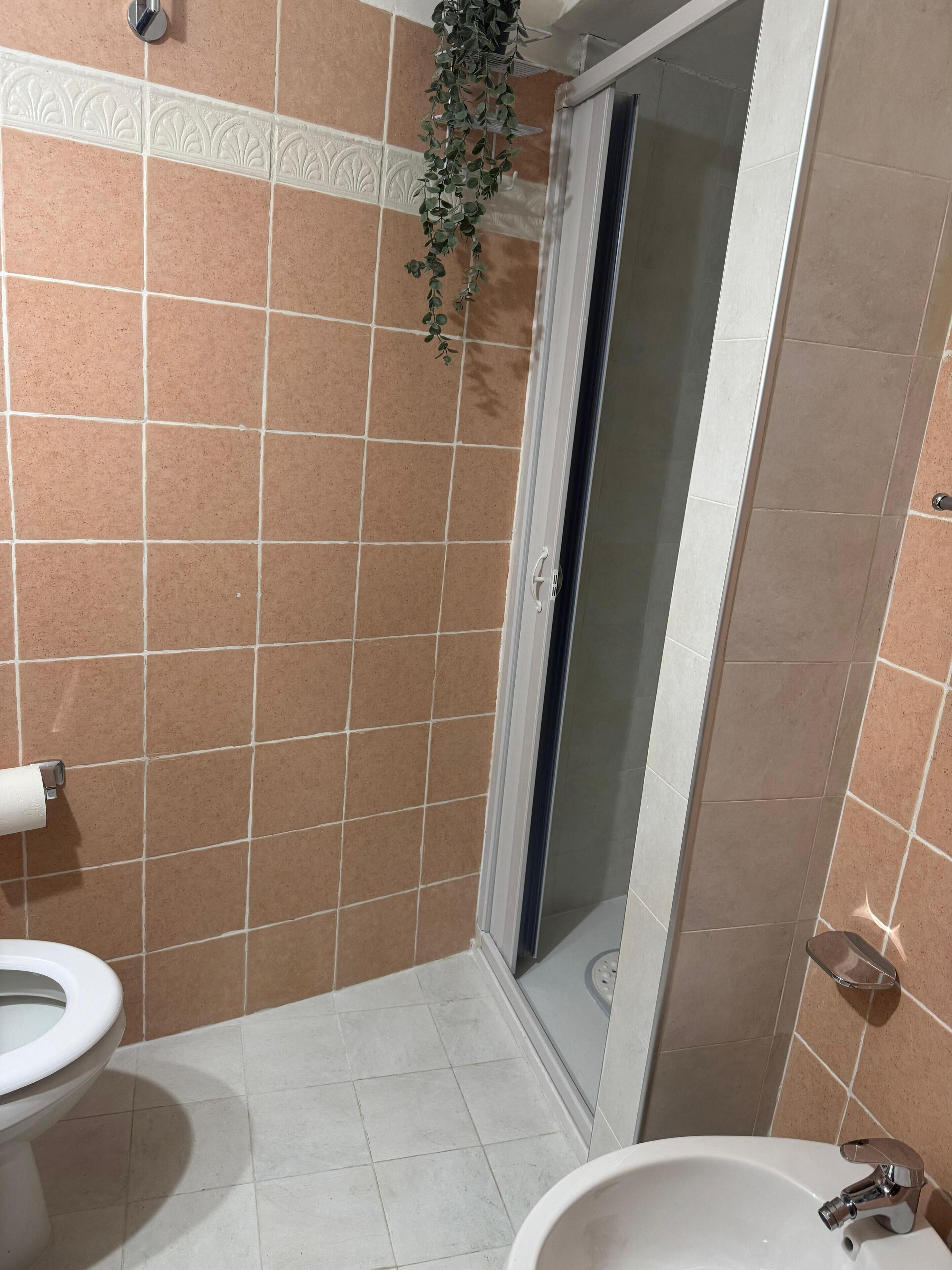 Sèche-cheveux, serviettes fournies, savon, papier toilette