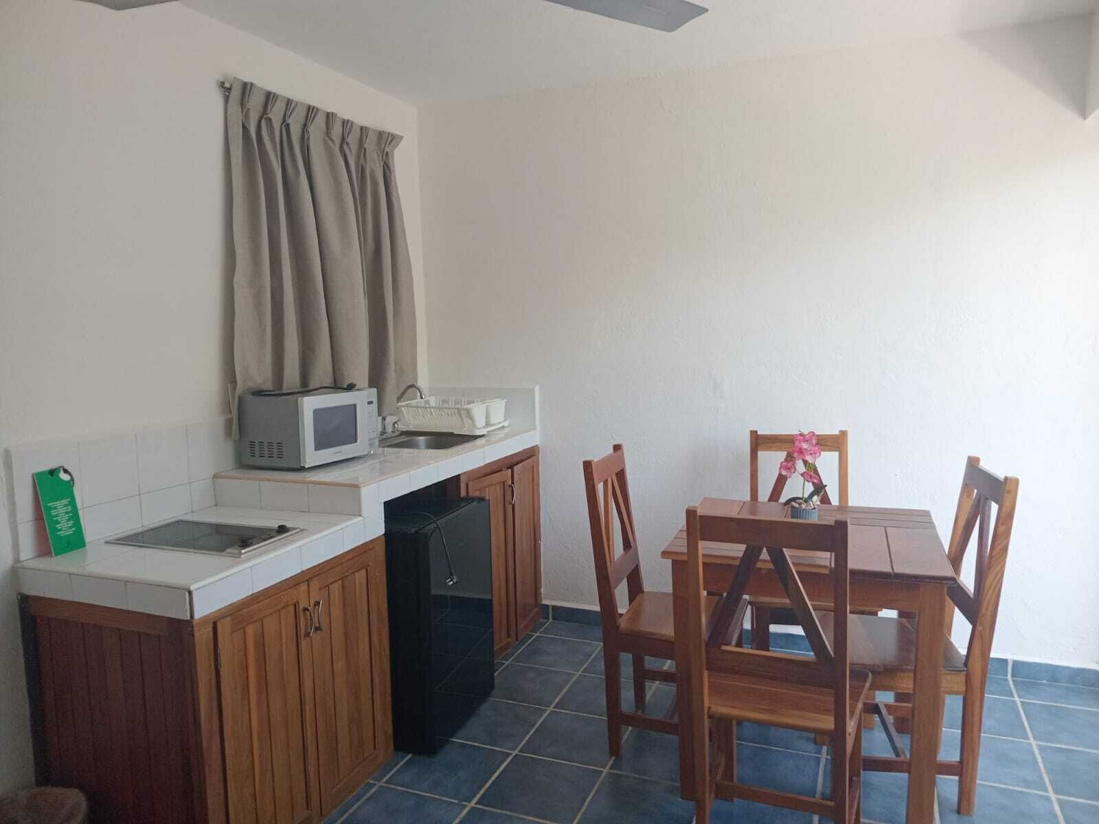 Apartment, Balcony, City View | Private kitchen