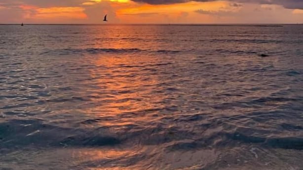 A sunset over a calm sea with a sailboat in the distance. - Casa Calendario Azteca (Playa del Carmen)