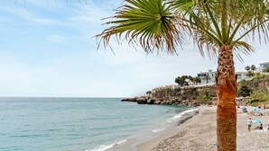 Ein Strand mit einer Palme, blauem Himmel und Gebäuden auf einer Klippe.