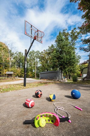 An outdoor basketball court with a hoop, surrounded by trees and a shed.
