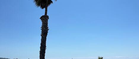 在海滩、沙滩椅、沙滩毛巾