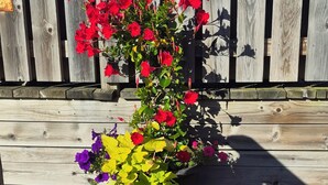 A wooden deck with a planter containing red, yellow, and purple flowers. - LaniKai Hotel & Restaurant (Batchewana Bay)