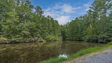 Eine natürliche Landschaft mit einem ruhigen Fluss, dichtem Baumbestand und blauem Himmel.