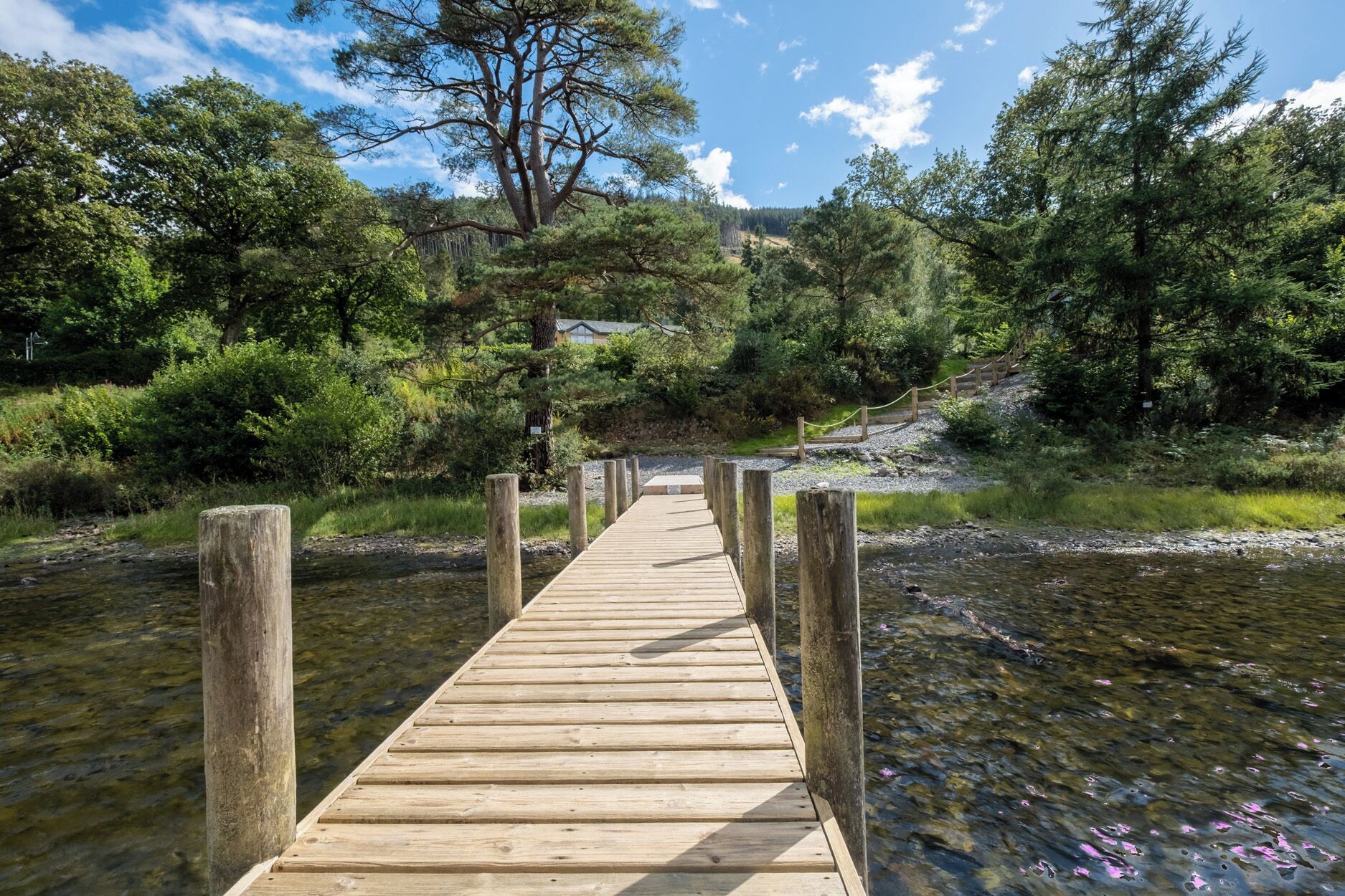 A wooden bridge leading to a forested area with a clear sky.