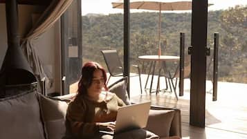 Smart TV, fireplace, books, stereo