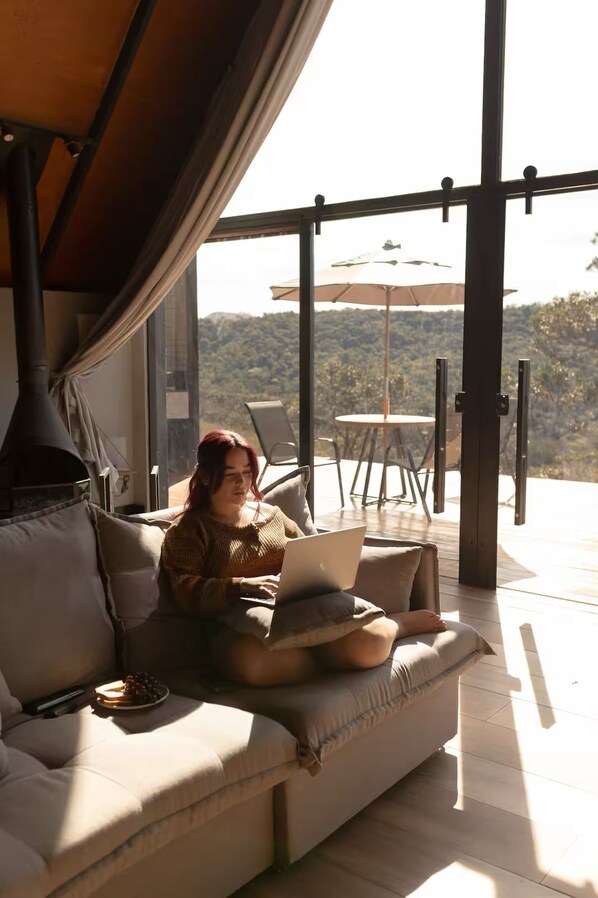 Smart TV, fireplace, books, stereo