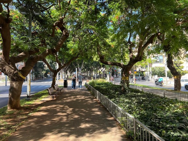A tree-lined pathway with benches and a metal fence.