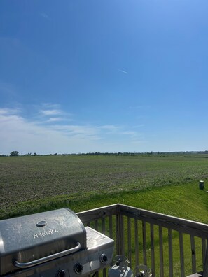 Property grounds - Charming 4-bedroom house in Ankeny with AC (Ankeny)