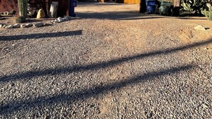 A gravel driveway leading to a fenced area with a cactus, trees, and a building in the background. - Central pet-friendly private house located by U of A with pool and hot tub (Tucson)