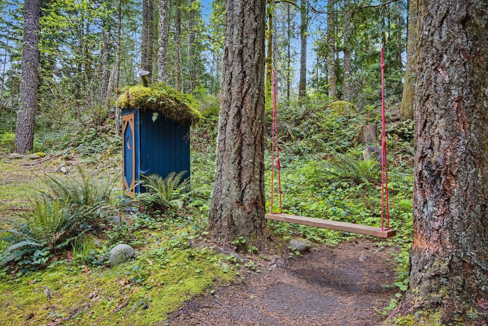 Une zone boisée avec un petit abri bleu, une balançoire suspendue à un arbre et un sentier qui traverse les bois.