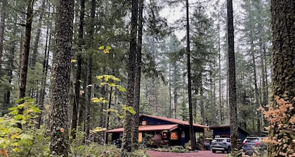Tranquil Basecamp+Fast WiFi+PetFriendly in Mt Hood Village