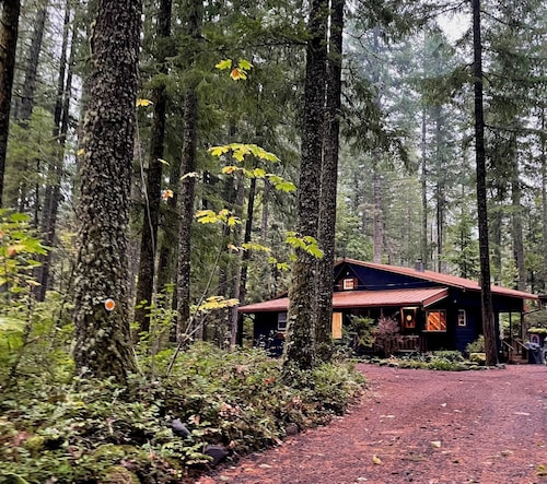Tranquility, Hot Tub and Fast WiFi in Pet-friendly Cabin