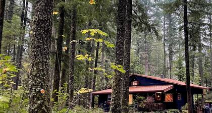 Tranquility, Hot Tub and Fast WiFi in Pet-friendly Cabin