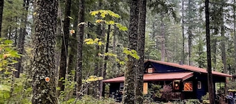 Tranquility, Hot Tub and Fast WiFi in Pet-friendly Cabin