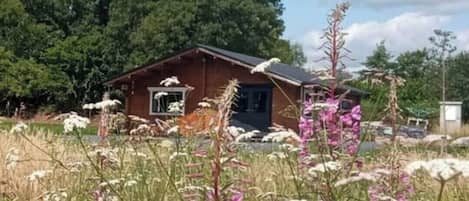 المنطقة المحيطة بالمنشأة