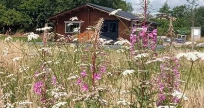 Home from Home. 3-bedroom cabin beside Shannon airport with everything you need
