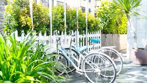 Una bicicleta estacionada frente a una cerca blanca, con follaje verde al fondo.