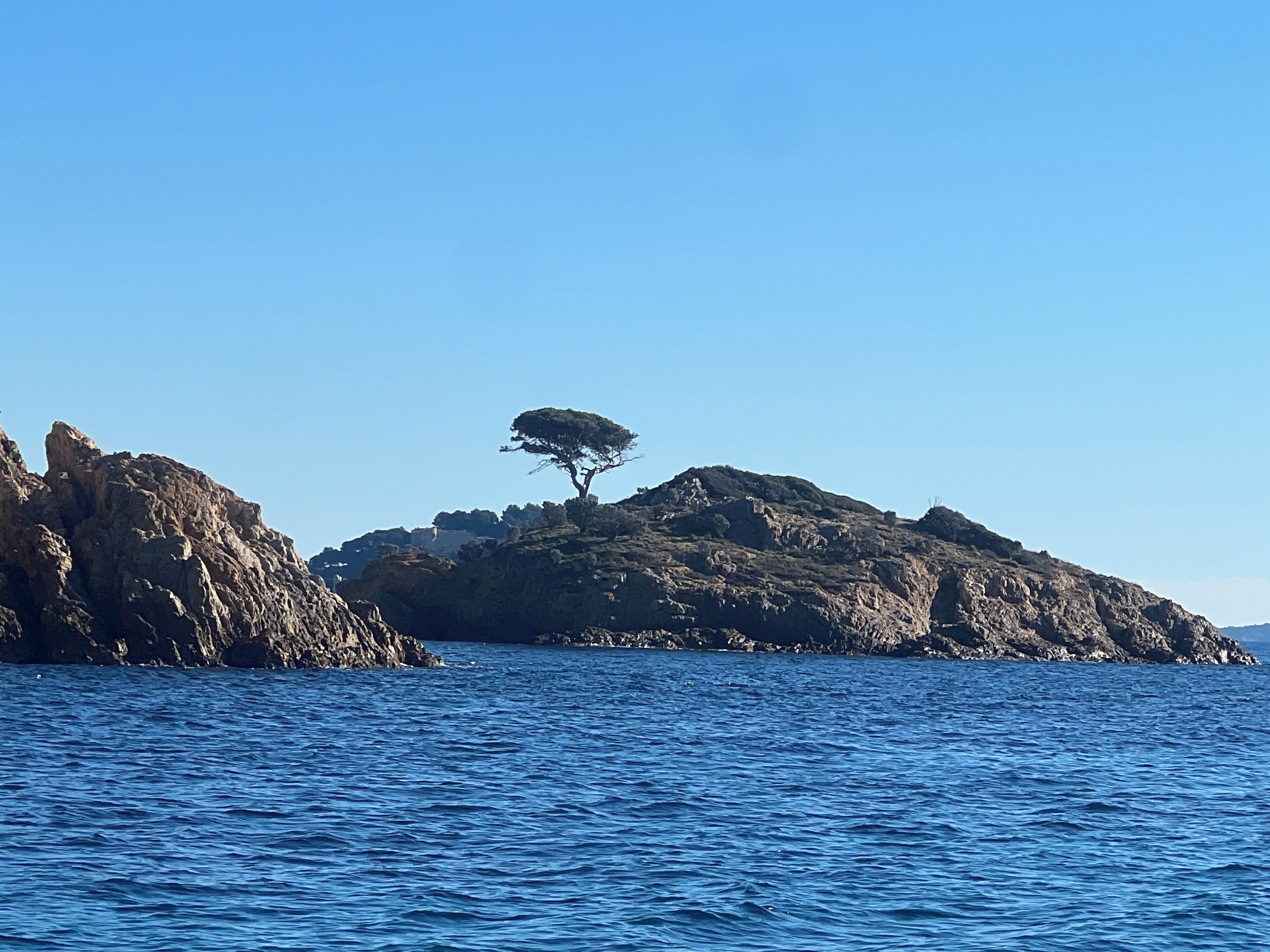 A rocky island with a single tree in the center, surrounded by calm blue water.