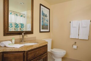 Hair dryer, towels, soap, toilet paper