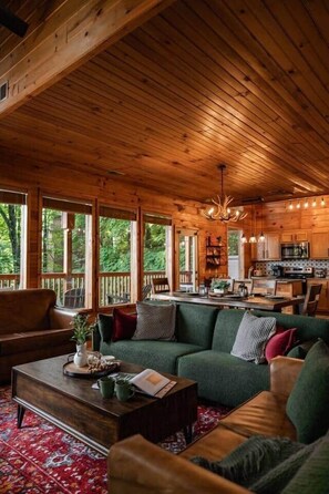 Smart TV, fireplace, books, music library