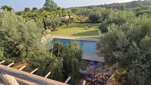 A pool surrounded by dense greenery, a wooden deck, and a view of a well-maintained lawn with lounge chairs.