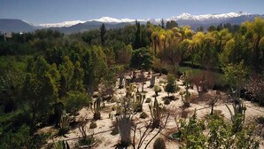 A desert landscape with sparse vegetation and a mountainous backdrop.