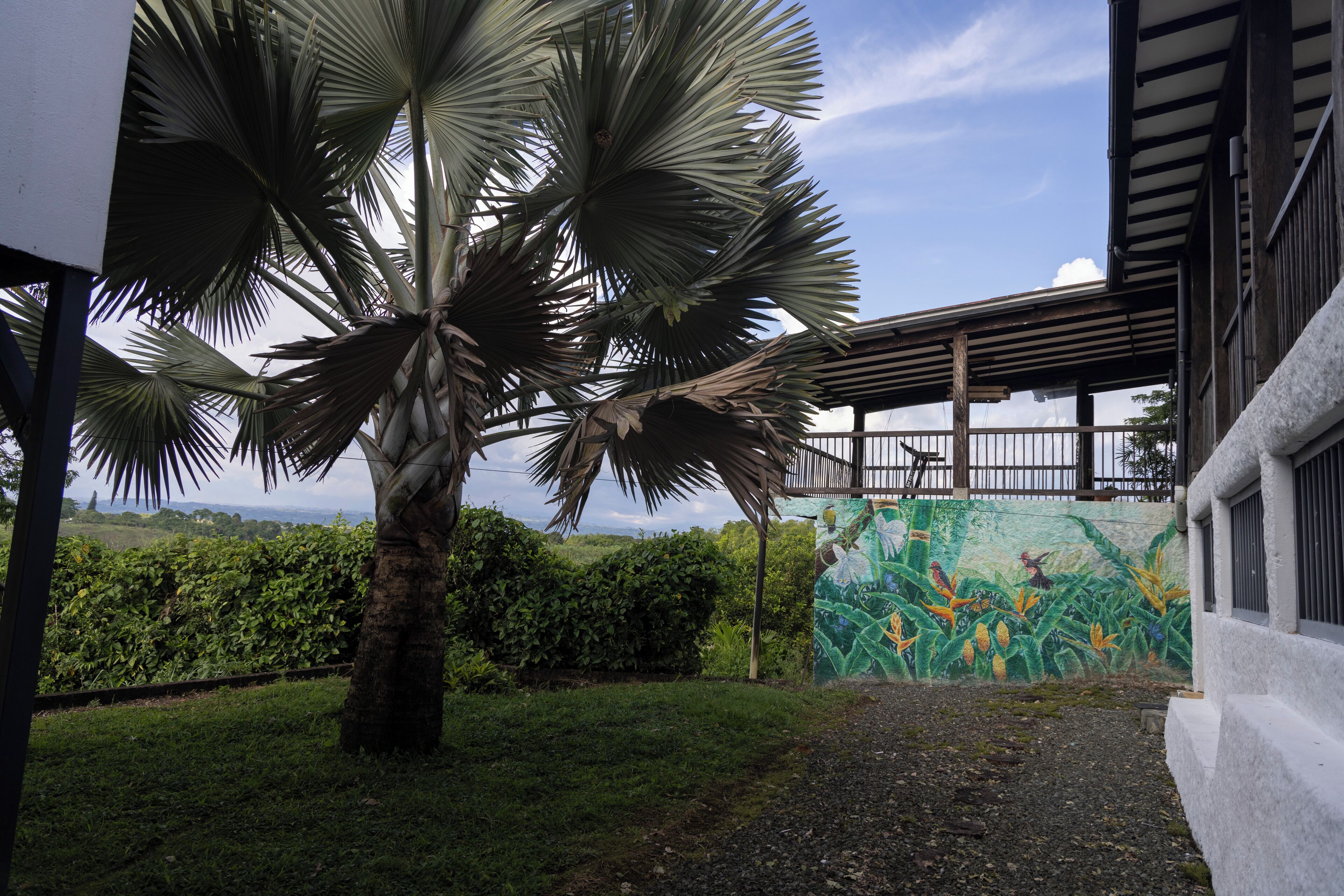 Habitación Confort | Terraza o patio