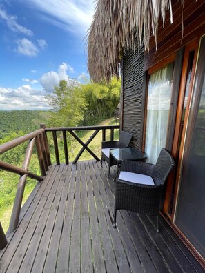 Luxury Cabin, Mountain View