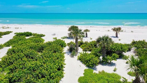 A beach with white sand and green vegetation, including palm trees and bushes.
