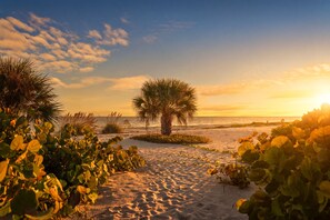 Eine Strandansicht mit einer Palme und Sand.